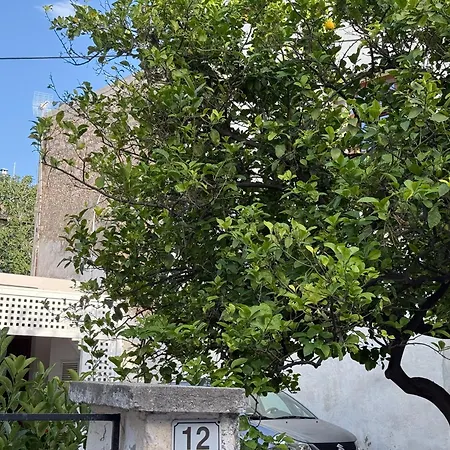 Apartament Dena *